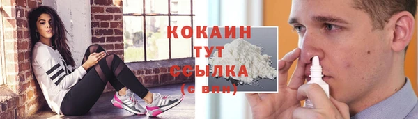 стафф Алзамай