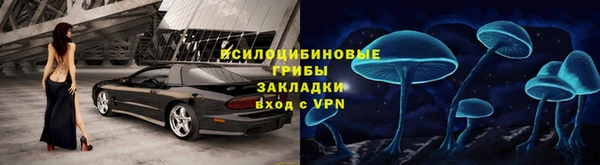 стафф Алзамай