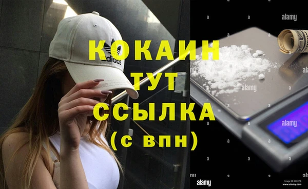 спиды Абинск