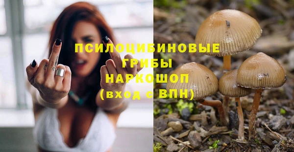стафф Алзамай